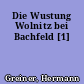 Die Wustung Wolnitz bei Bachfeld [1]