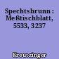 Spechtsbrunn : Meßtischblatt, 5533, 3237