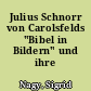 Julius Schnorr von Carolsfelds "Bibel in Bildern" und ihre Popularisierung