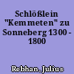 Schlößlein "Kemmeten" zu Sonneberg 1300 - 1800