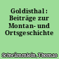 Goldisthal : Beiträge zur Montan- und Ortsgeschichte