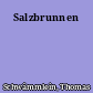 Salzbrunnen