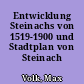 Entwicklung Steinachs von 1519-1900 und Stadtplan von Steinach