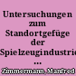 Untersuchungen zum Standortgefüge der Spielzeugindustrie der DDR