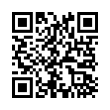 QR Code (код быстрого отклика)