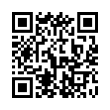 QR Code (код быстрого отклика)