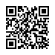 QR Code (код быстрого отклика)