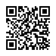 QR Code (код быстрого отклика)