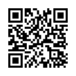 QR Code (код быстрого отклика)