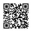 QR Code (код быстрого отклика)