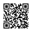 QR Code (код быстрого отклика)