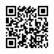 QR Code (код быстрого отклика)