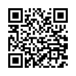 QR Code (код быстрого отклика)