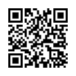 QR Code (код быстрого отклика)