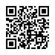 QR Code (код быстрого отклика)