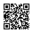QR Code (код быстрого отклика)