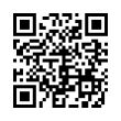 QR Code (код быстрого отклика)