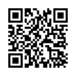 QR Code (код быстрого отклика)