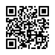 QR Code (код быстрого отклика)