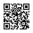 QR Code (код быстрого отклика)