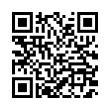 QR Code (код быстрого отклика)