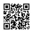 QR Code (код быстрого отклика)