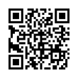 QR Code (код быстрого отклика)