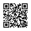 QR Code (код быстрого отклика)