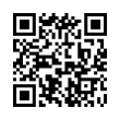 QR Code (код быстрого отклика)