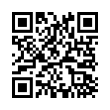 QR Code (код быстрого отклика)