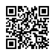 QR Code (код быстрого отклика)