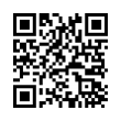 QR Code (код быстрого отклика)