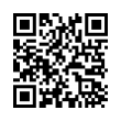 QR Code (код быстрого отклика)