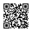 QR Code (код быстрого отклика)