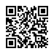 QR Code (код быстрого отклика)