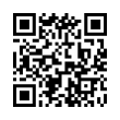 QR Code (код быстрого отклика)