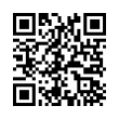 QR Code (код быстрого отклика)