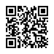 QR Code (код быстрого отклика)