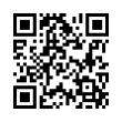 QR Code (код быстрого отклика)