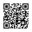 QR Code (код быстрого отклика)