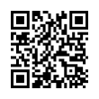 QR Code (код быстрого отклика)