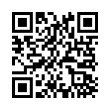 Código QR (código de barras bidimensional)