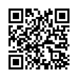 QR Code (код быстрого отклика)