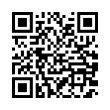 QR Code (код быстрого отклика)