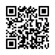 QR Code (код быстрого отклика)