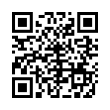 QR Code (код быстрого отклика)