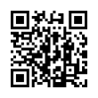 QR Code (код быстрого отклика)