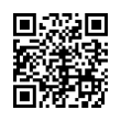 QR Code (код быстрого отклика)