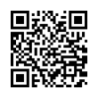 QR Code (код быстрого отклика)