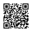 QR Code (код быстрого отклика)